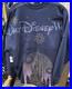2025_Disney_Parks_Walt_Disney_World_Magic_Kingdom_Castle_Spirit_Jersey_Adult_M_01_zz