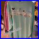 2026_Walt_Disney_World_Parks_Attractions_Icons_Mint_Spirit_Jersey_Adult_Size_M_01_frml