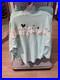 2026_Walt_Disney_World_Parks_Attractions_Icons_Mint_Spirit_Jersey_Adult_XS_01_mzvu