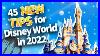 45_New_Tips_For_Disney_World_In_2022_01_ir