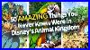 50_Amazing_Things_You_Never_Knew_Were_In_Disney_S_Animal_Kingdom_01_xw