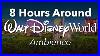 8_Hours_Around_Walt_Disney_World_Park_Ambience_Background_Park_Area_Ambience_01_baa
