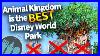 Animal_Kingdom_Is_The_Best_Disney_World_Park_01_xko