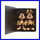Boxed_50th_Anniversary_Walt_Disney_World_Limited_Release_Mickey_and_Minnie_Plush_01_jb