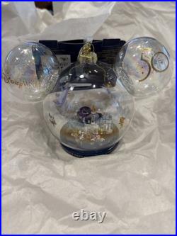 Disney Parks 50th Anniversary Walt Disney World Icon Glass Globe Ornament