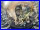 Disney_Parks_50th_Anniversary_Walt_Disney_World_Icon_original_1971_GLASS_GLOBE_01_tegn