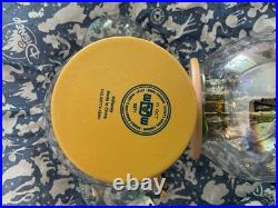 Disney Parks 50th Anniversary Walt Disney World Icon +original 1971 GLASS GLOBE