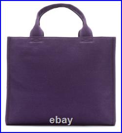 Disney Parks Walt Disney World Cinderella Castle Canvas Crossbody Tote Bag RARE