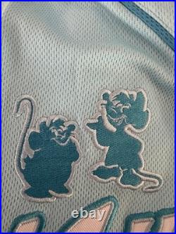 Disney Walt Disney World Princess Cinderella Jersey XS Embroidered Logo 2026