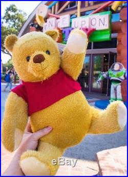 Disney Winnie The Pooh Plush LTD WALT DISNET WORLD 2018 NEW All Friends
