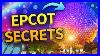 Epcot_Secrets_Disney_Won_T_Tell_You_01_rf
