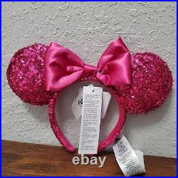 LARGE Spirit Jersey & Ears Set Disney Parks Walt Disney World Orchid Hot Pink