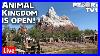 Live_Disney_S_Animal_Kingdom_Reopening_Walt_Disney_World_Live_Stream_01_bsix