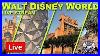 Live_Disney_World_Freestyle_No_Plan_Rides_U0026_Park_Hopping_Disney_World_Live_Stream_1_29_2026_01_vixb