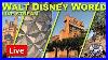 Live_Disney_World_Freestyle_No_Plan_Rides_U0026_Park_Hopping_Disney_World_Live_Stream_2_3_2026_01_mq