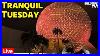 Live_The_First_Tranquil_Tuesday_Of_2025_At_Epcot_Walt_Disney_World_Live_Stream_1_7_25_01_axr