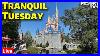 Live_Tranquil_Tuesday_At_Magic_Kingdom_Walt_Disney_World_Live_Stream_01_umx