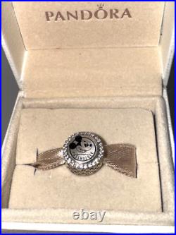 NEW Walt Disney World Pandora Charm Annual Passholder Mickey AP Castle Parks