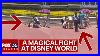 Punches_Fly_Between_Families_At_Disney_S_Magic_Kingdom_In_Fight_Over_Photo_Op_01_lgej