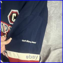 Vintage Walt Disney World Grumpy Miners Hockey Jersey Long Sleeve #37 L