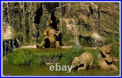 WALT DISNEY WORLD Orlando Postcard ELEPHANT BATHING POOL Jungle Cruise Scene