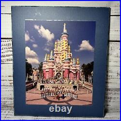Walt Disney World 25th Anniversary Birthday Cake Castle VTG Wooden Alphalam D11