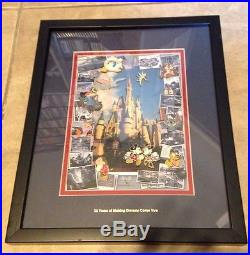 Walt Disney World 35th Anniversary 11 Pin Framed Limited Edition Set Mickey Mous