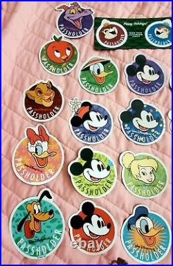 Walt Disney World Annual Passholder Magnet Full Set
