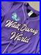 Walt_Disney_World_Baseball_Jersey_Sleeping_Beauty_Aurora_Large_New_01_xkur