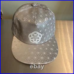 Walt Disney World Epcot reflective hat