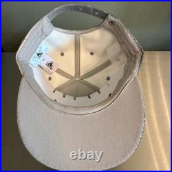 Walt Disney World Epcot reflective hat