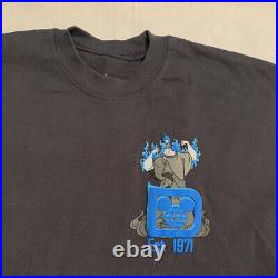 Walt Disney World Hades Flames Spirit Jersey Adult Small Gray Blue Long Sleeve