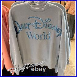 Walt Disney World Parks Blue Pullover Sweater Sweatshirt Adult Size M New