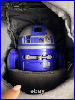 Walt Disney World R2D2