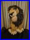Walt_Disney_World_The_Lion_King_Scar_Plush_Toy_10_inches_01_hpnr