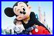 Walt_Disney_World_Ultimate_Ticket_2020_Including_Fast_Pass_01_yzjd