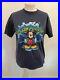 Walt_Disney_World_Y2K_Splash_Mountain_Vintage_T_shirt_Collectors_Size_Medium_M_01_hs
