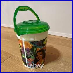 Walt Disney World popcorn bucket